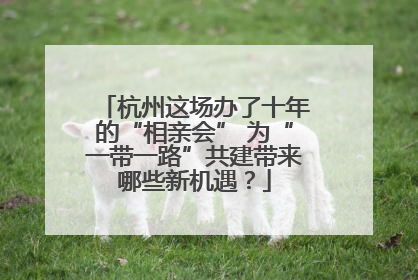 杭州这场办了十年的“相亲会” 为“一带一路”共建带来哪些新机遇？