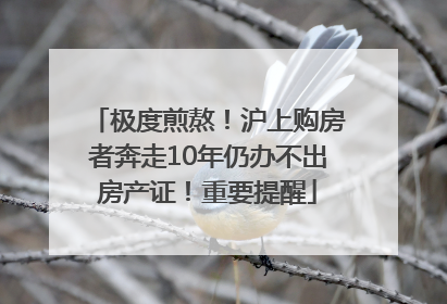 极度煎熬！沪上购房者奔走10年仍办不出房产证！重要提醒