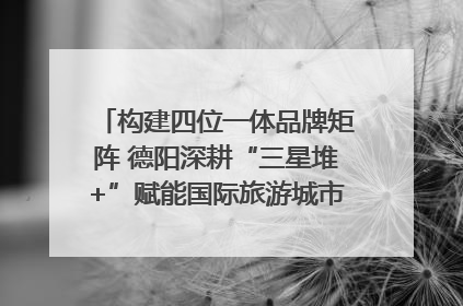 构建四位一体品牌矩阵 德阳深耕“三星堆+”赋能国际旅游城市建设｜文旅局长说