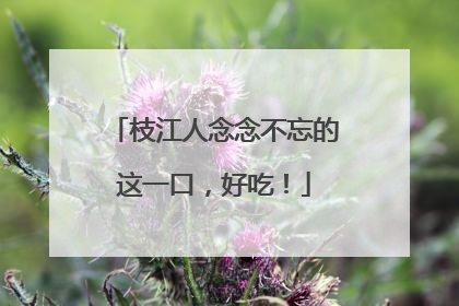 枝江人念念不忘的这一口，好吃！