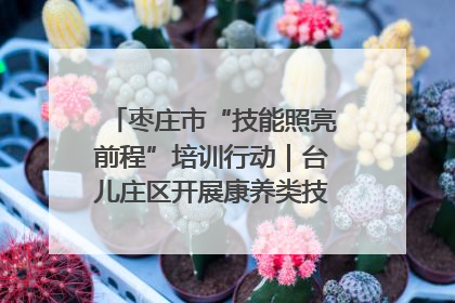 枣庄市“技能照亮前程”培训行动｜台儿庄区开展康养类技能进校园活动