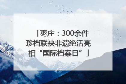枣庄：300余件珍档联袂非遗绝活亮相“国际档案日”