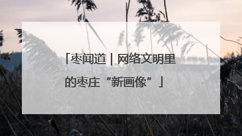 枣闻道｜网络文明里的枣庄“新画像”