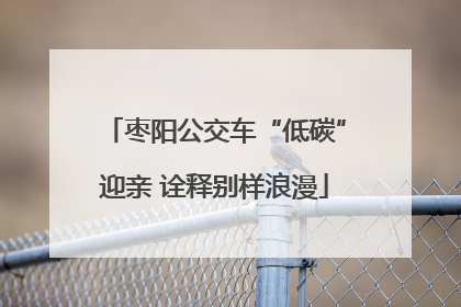 枣阳公交车“低碳”迎亲 诠释别样浪漫