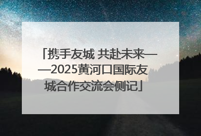 携手友城 共赴未来——2025黄河口国际友城合作交流会侧记