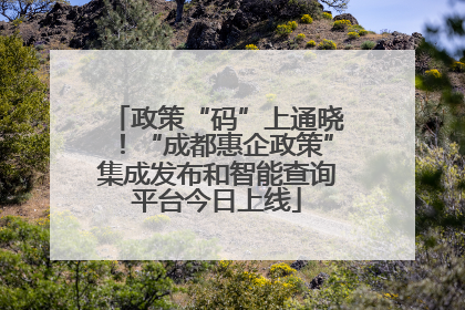 政策“码”上通晓！“成都惠企政策”集成发布和智能查询平台今日上线