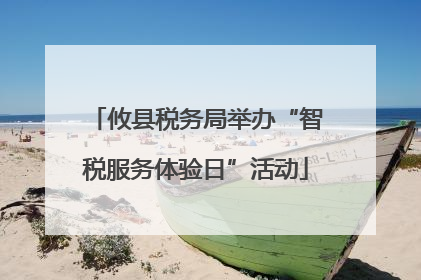 攸县税务局举办“智税服务体验日”活动