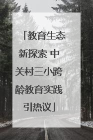 教育生态新探索 中关村三小跨龄教育实践引热议