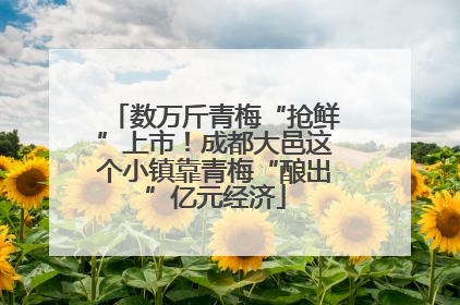 数万斤青梅“抢鲜”上市！成都大邑这个小镇靠青梅“酿出”亿元经济