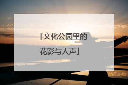 文化公园里的花影与人声