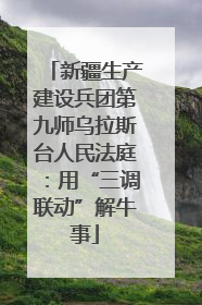 新疆生产建设兵团第九师乌拉斯台人民法庭：用“三调联动”解牛事