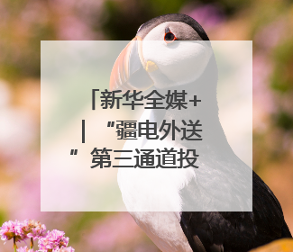新华全媒+｜“疆电外送”第三通道投产送电