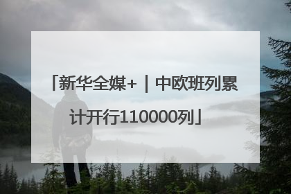 新华全媒+｜中欧班列累计开行110000列