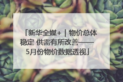 新华全媒+｜物价总体稳定 供需有所改善——5月份物价数据透视