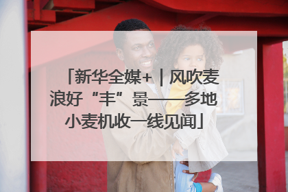 新华全媒+｜风吹麦浪好“丰”景——多地小麦机收一线见闻
