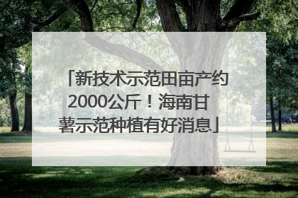 新技术示范田亩产约2000公斤！海南甘薯示范种植有好消息