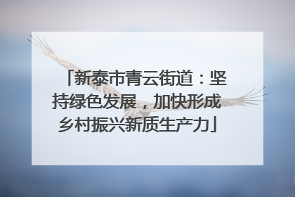 新泰市青云街道：坚持绿色发展，加快形成乡村振兴新质生产力