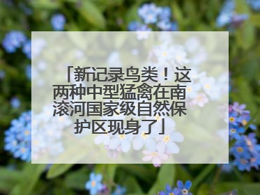 新记录鸟类！这两种中型猛禽在南滚河国家级自然保护区现身了
