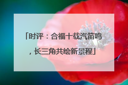 时评：合福十载汽笛鸣，长三角共绘新景程