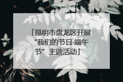 昆明市盘龙区开展“我们的节日·端午节”主题活动