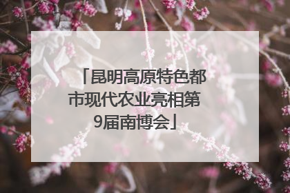 昆明高原特色都市现代农业亮相第9届南博会