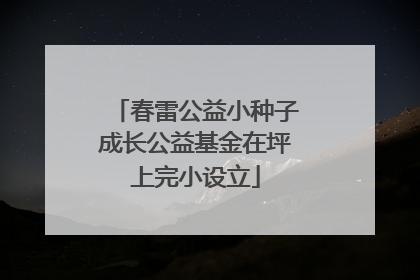 春雷公益小种子成长公益基金在坪上完小设立