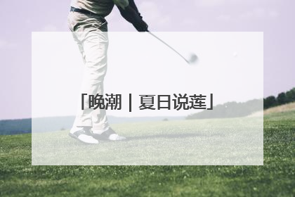 晚潮｜夏日说莲