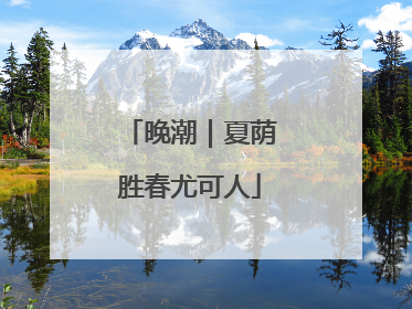 晚潮｜夏荫胜春尤可人