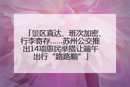 景区直达、班次加密、行李寄存……苏州公交推出14项惠民举措让端午出行“路路顺”