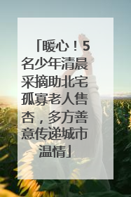 暖心！5名少年清晨采摘助北宅孤寡老人售杏，多方善意传递城市温情