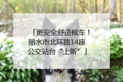 更安全舒适候车！丽水市北环路14座公交站台“上新”