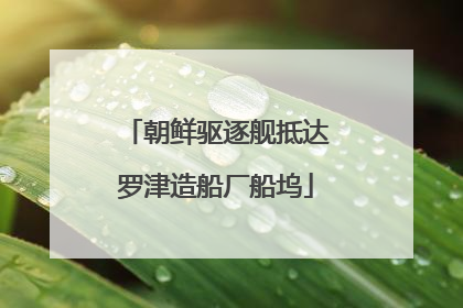朝鲜驱逐舰抵达罗津造船厂船坞