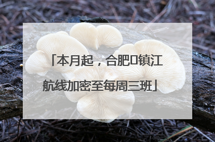 本月起，合肥⇋镇江航线加密至每周三班