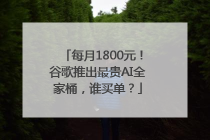 每月1800元！谷歌推出最贵AI全家桶，谁买单？