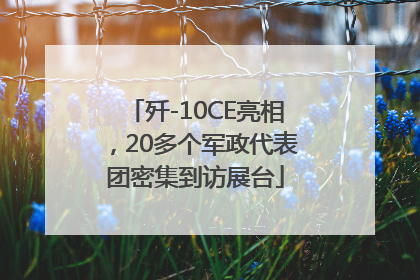 歼-10CE亮相，20多个军政代表团密集到访展台