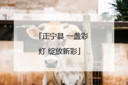 正宁县 一盏彩灯 绽放新彩