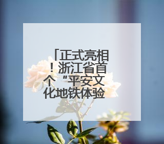 正式亮相！浙江省首个“平安文化地铁体验站”来了
