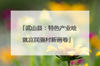 武山县：特色产业绘就富民强村新画卷