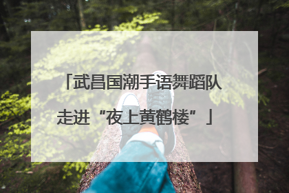 武昌国潮手语舞蹈队走进“夜上黄鹤楼”