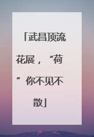 武昌顶流花展，“荷”你不见不散