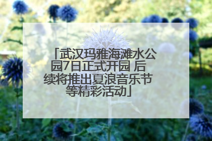 武汉玛雅海滩水公园7日正式开园 后续将推出夏浪音乐节等精彩活动