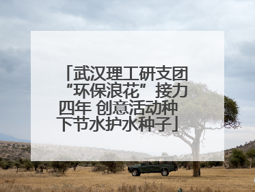 武汉理工研支团“环保浪花”接力四年 创意活动种下节水护水种子