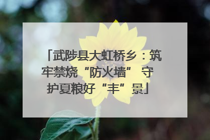 武陟县大虹桥乡：筑牢禁烧“防火墙” 守护夏粮好“丰”景
