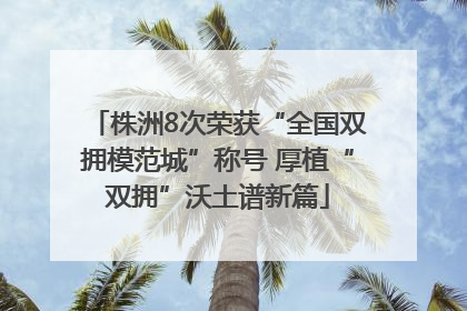 株洲8次荣获“全国双拥模范城”称号 厚植“双拥”沃土谱新篇