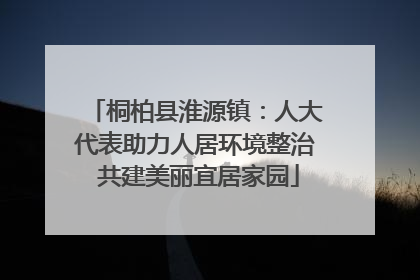 桐柏县淮源镇：人大代表助力人居环境整治 共建美丽宜居家园
