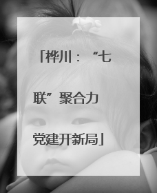 桦川：“七联”聚合力 党建开新局