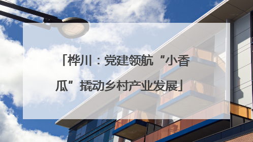 桦川：党建领航“小香瓜”撬动乡村产业发展