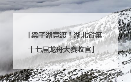 梁子湖竞渡！湖北省第十七届龙舟大赛收官