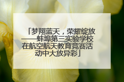 梦翔蓝天，荣耀绽放——蚌埠第三实验学校在航空航天教育竞赛活动中大放异彩
