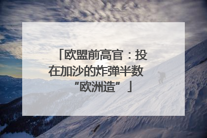 欧盟前高官：投在加沙的炸弹半数“欧洲造”